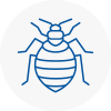 Bed Bug Extermination In Bromford